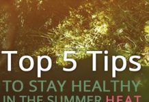 5 Tips to Stay Healthy This Summer