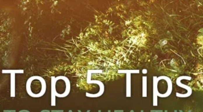 5 Tips to Stay Healthy This Summer